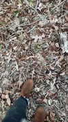 sarah.anne.dipity Altpins Profile Picture
