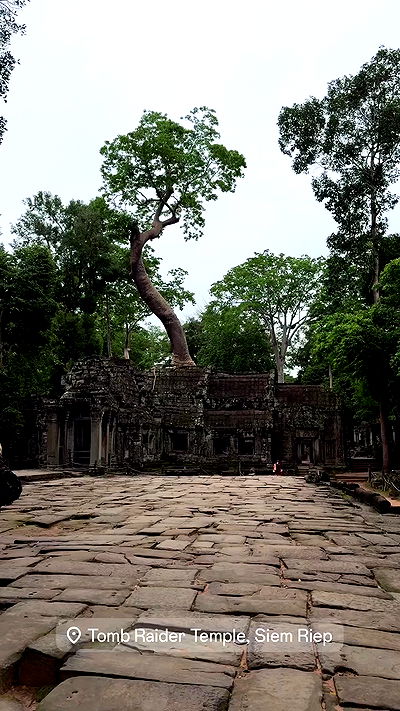 kesemgreenyer kesemgreenyer archive video