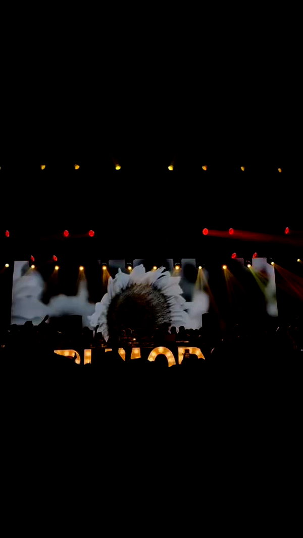 koral_toledo archive video preview