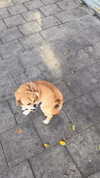alma.almog Altpins Profile Picture