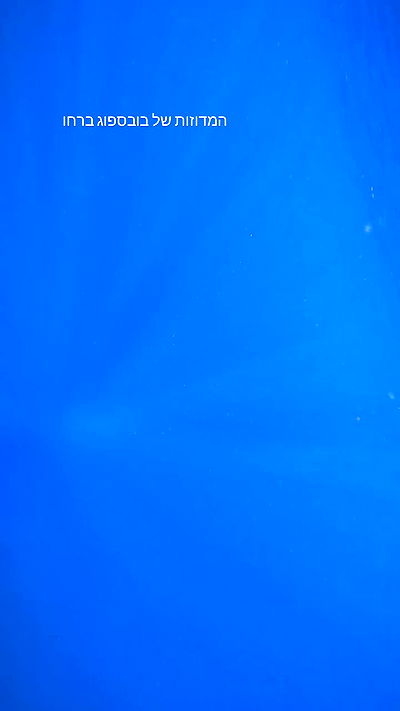 tinapavlov.sky tinapavlov.sky archive video