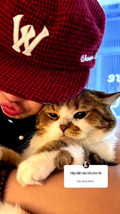 wexii_0612 wexii_0612 archive video