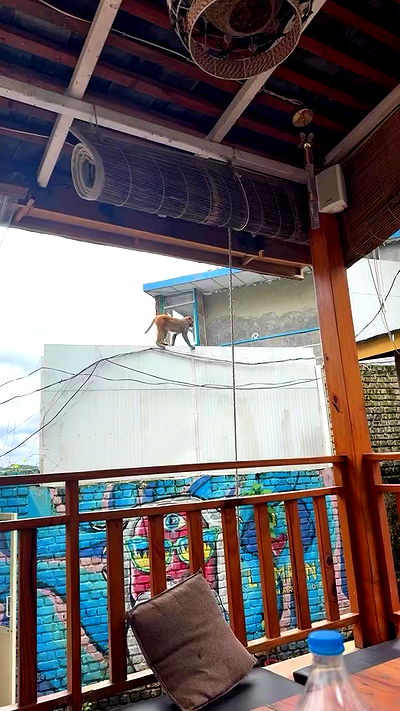 ronyida_ ronyida_ archive video