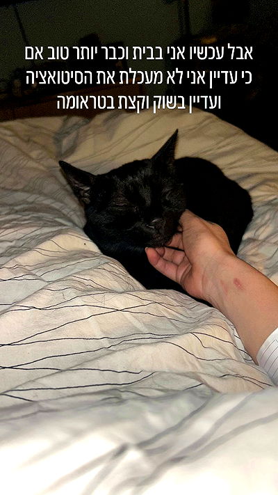 feelbetterinmysweater feelbetterinmysweater archive video