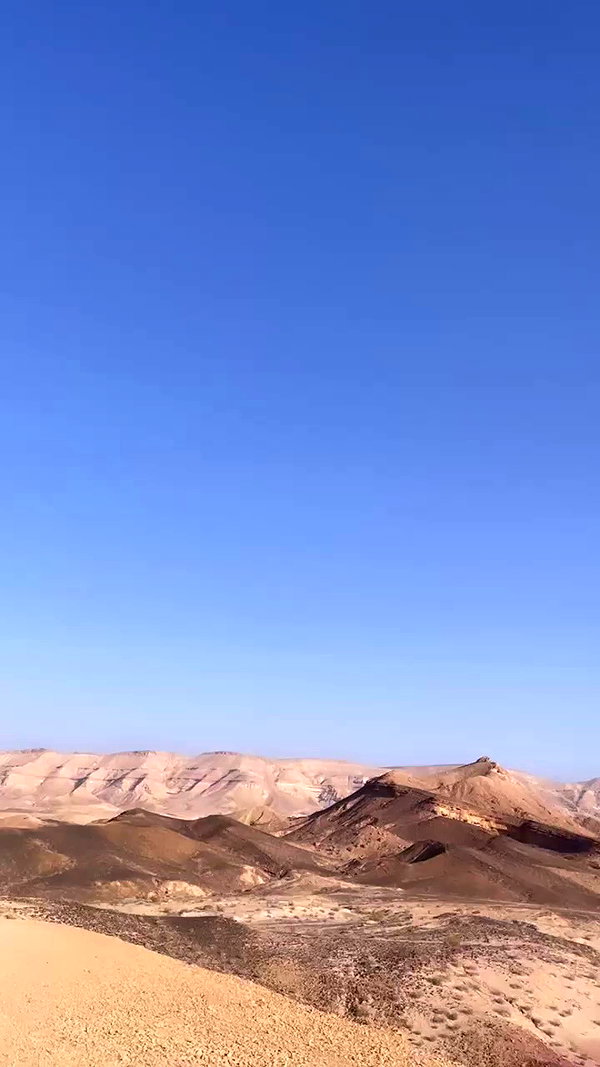 liad.arazi archive video preview