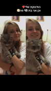 lisa_a.222 Altpins Profile Picture