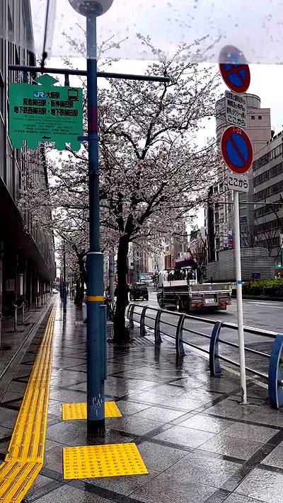 kasumi_sen kasumi_sen archive video