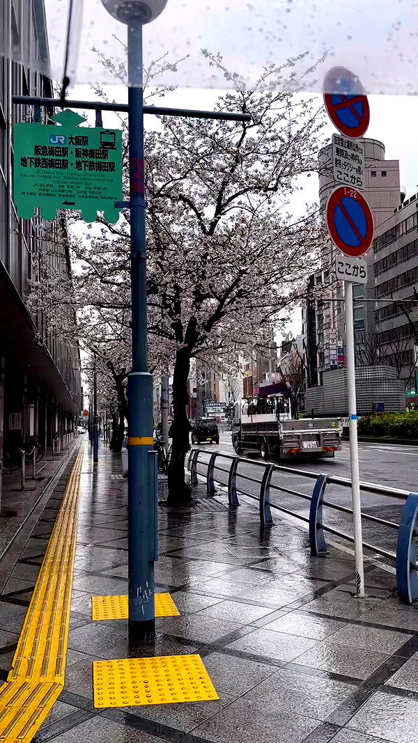kasumi_sen archive video preview