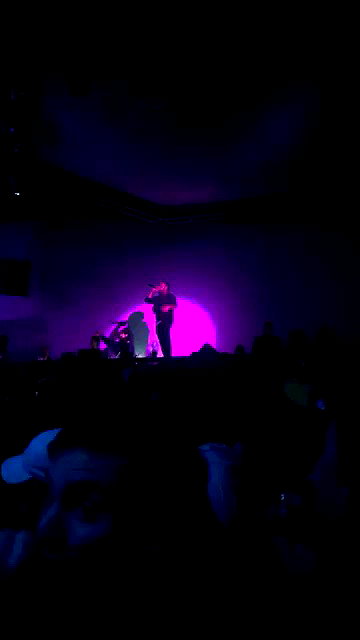 zaperwave archive video preview