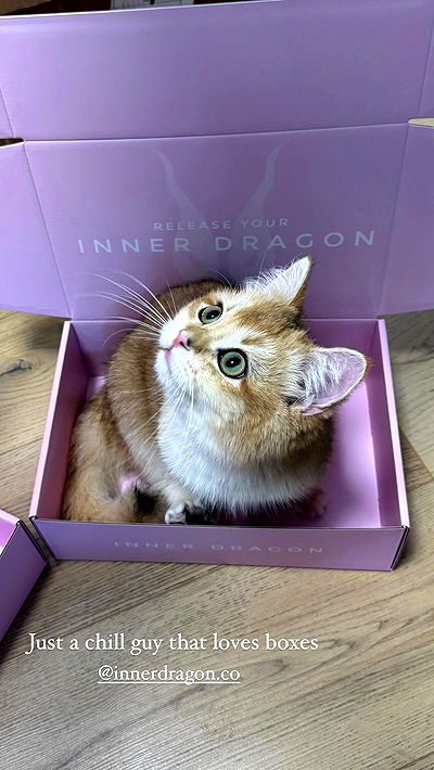 itsilanosh itsilanosh archive video