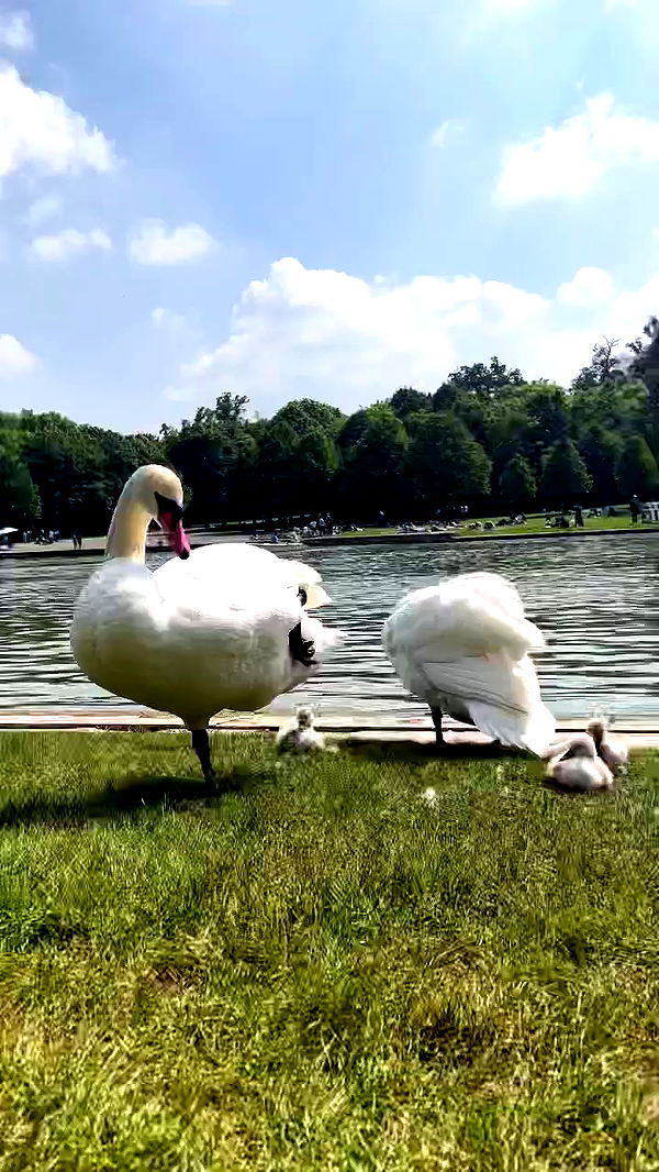 itsilanosh archive video preview