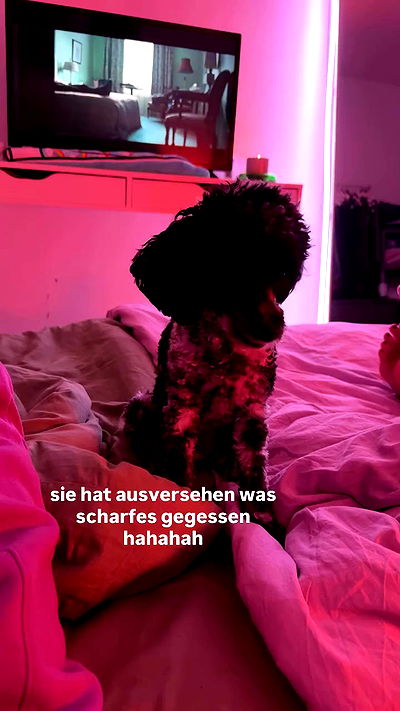 bymonamarie bymonamarie archive video