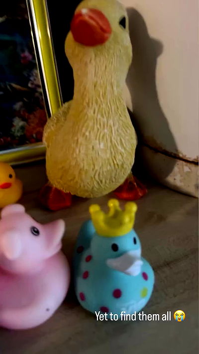 piper.jaylen piper.jaylen archive video