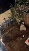 marley.wynn Altpins Profile Picture