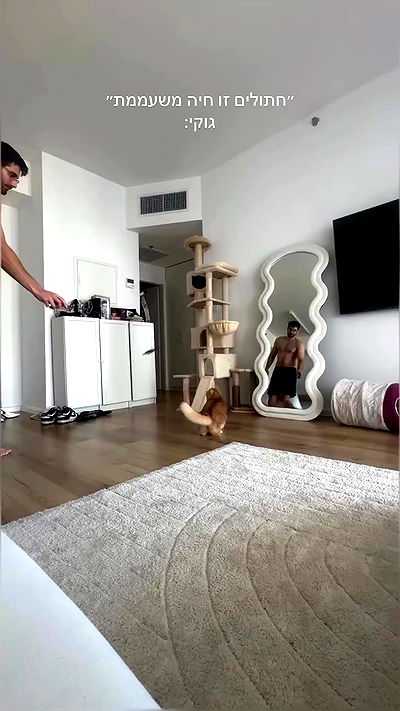 itsilanosh itsilanosh archive video