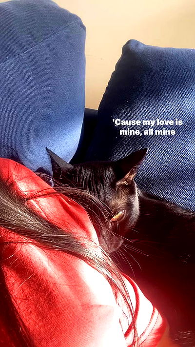 feelbetterinmysweater feelbetterinmysweater archive video