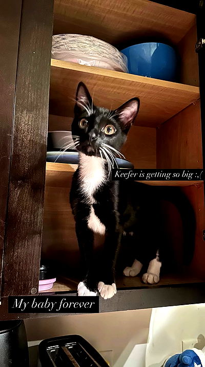 tatum.ricee tatum.ricee archive video