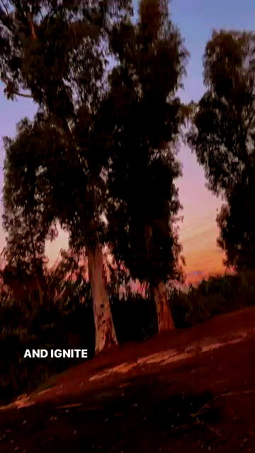 agam._.harel archive video preview