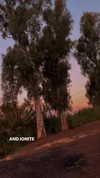 agam._.harel Altpins Profile Picture