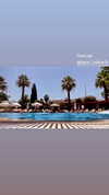 diana_polin Altpins Profile Picture