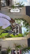 caseboon Altpins Profile Picture