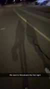 emelye.ender Altpins Profile Picture