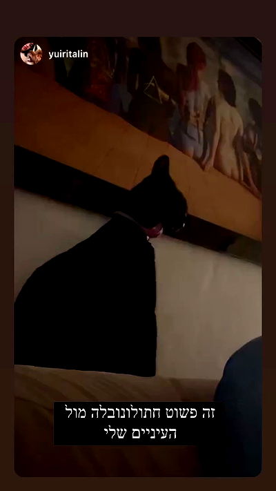 feelbetterinmysweater feelbetterinmysweater archive video