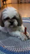 topaz_bn Altpins Profile Picture