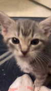 m3oww0_o Altpins Profile Picture
