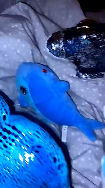 zaperwave archive video preview