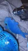 zaperwave Altpins Profile Picture