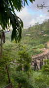 noa_mendel_ Altpins Profile Picture