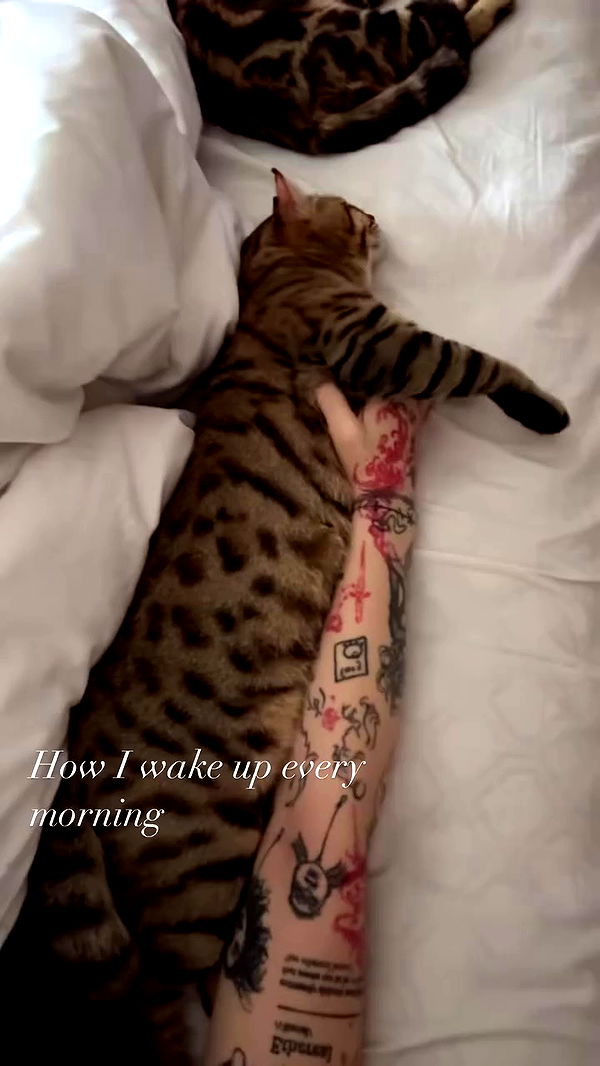 laurinchhhe archive video preview