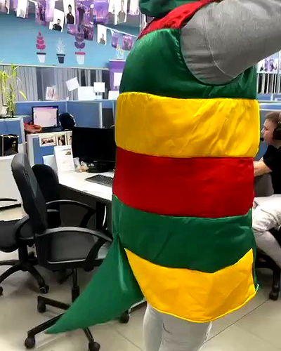 tuliprivet tuliprivet archive video