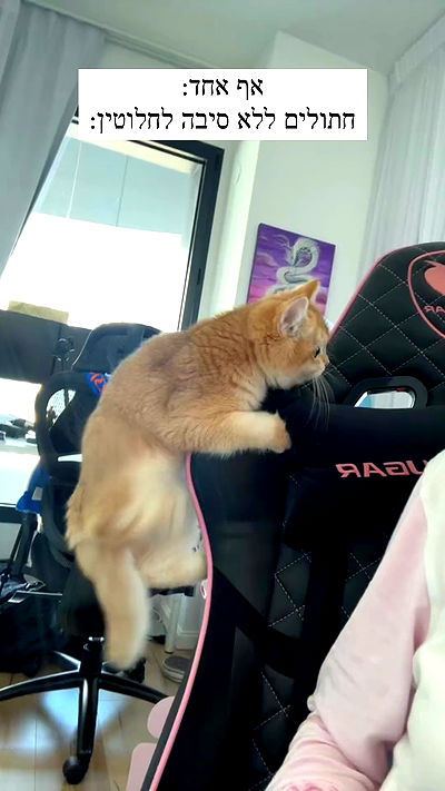 itsilanosh itsilanosh archive video