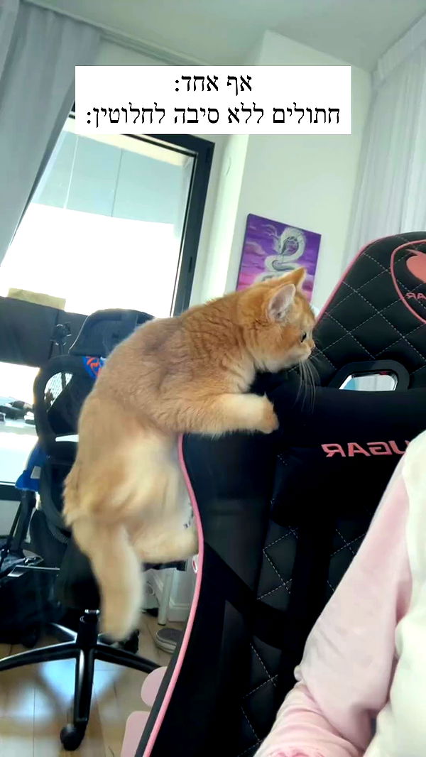 itsilanosh archive video preview