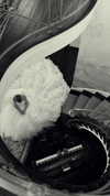 taylorswift Altpins Profile Picture