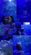 xkay.04x Altpins Profile Picture