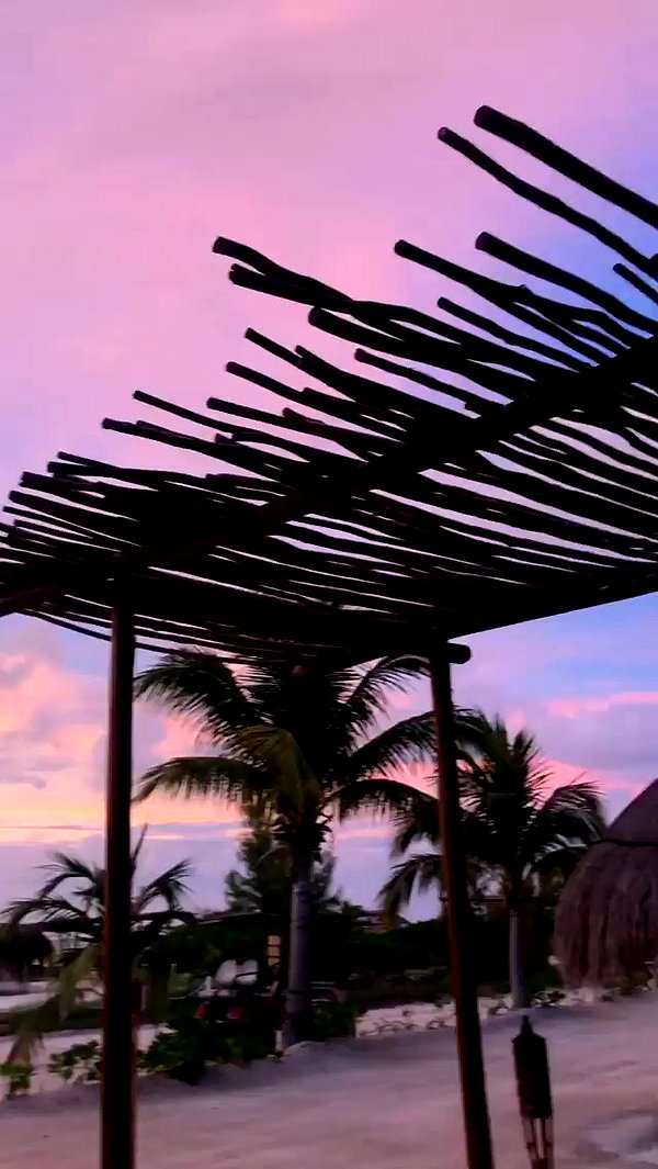 noa_mendel_ archive video preview
