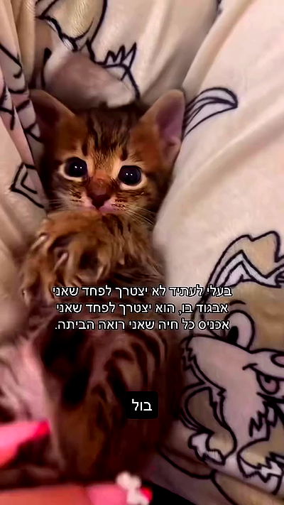 _lil_noa_ _lil_noa_ archive video