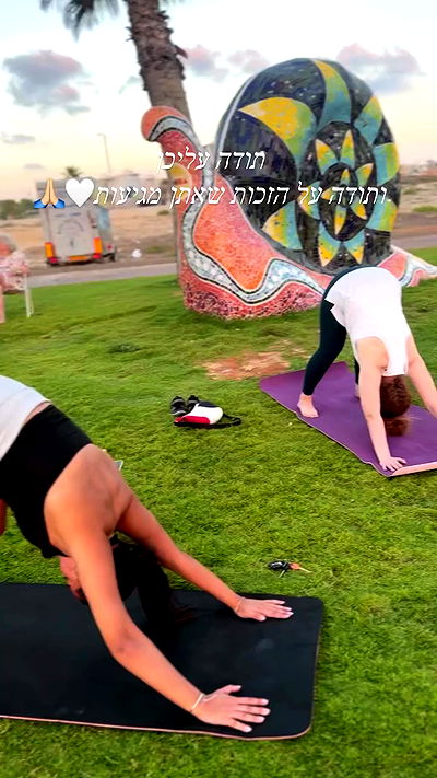 liad.arazi liad.arazi archive video