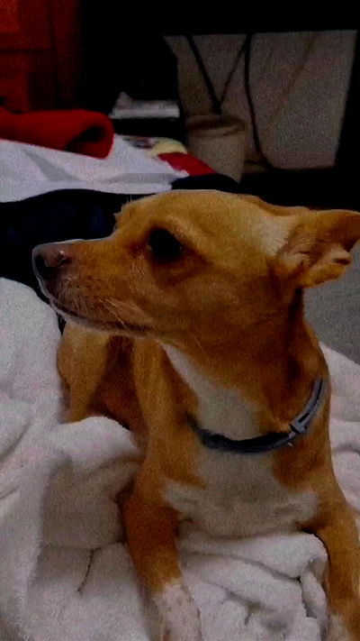 tinapavlov.sky tinapavlov.sky archive video