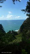 angxl.sky Altpins Profile Picture
