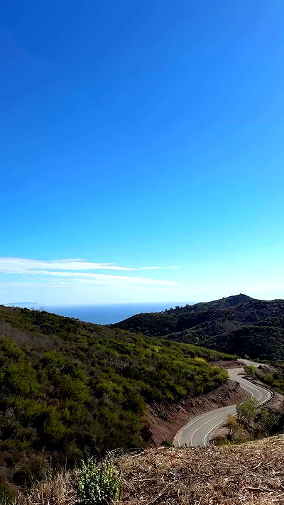 carolinezalog carolinezalog archive video