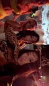 ciaoxxw Altpins Profile Picture