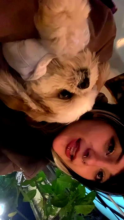 rose_xanne rose_xanne archive video