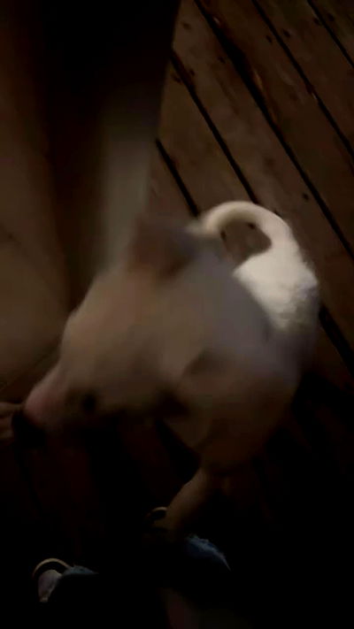 nicole.shpo nicole.shpo archive video