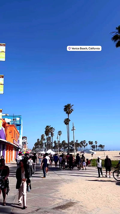 bakedsloths bakedsloths archive video