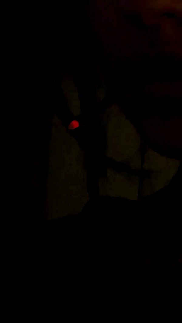 tooonytoony archive video preview
