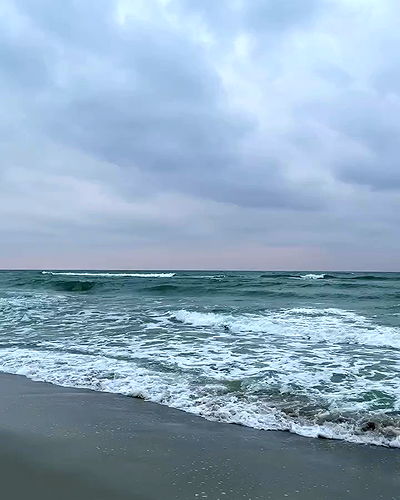 ninja.vi ninja.vi archive video